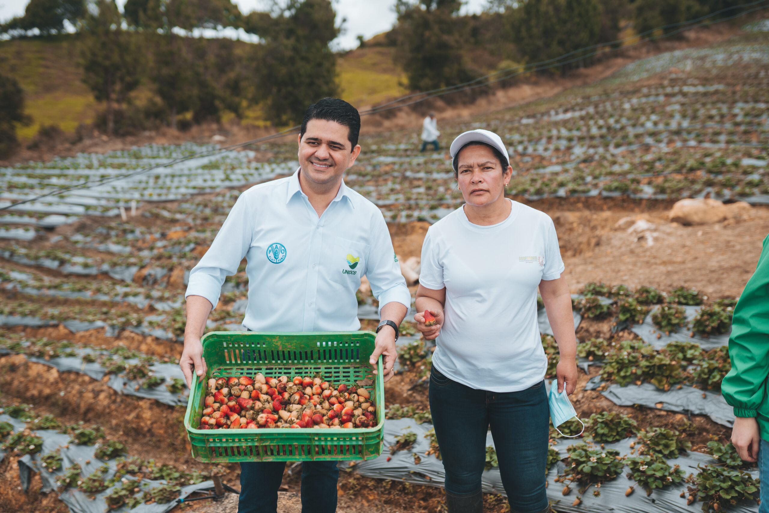 “En 10 años no tendremos quien siembre comida en Colombia”: Rodolfo Correa